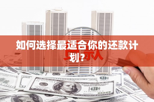 晋安如何选择最适合你的还款计划？