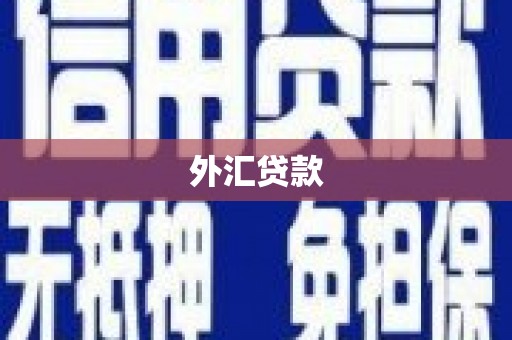 晋安外汇贷款