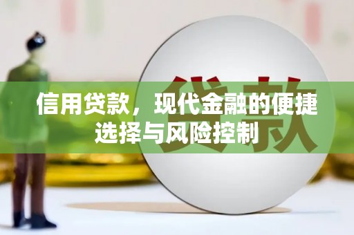 晋安信用贷款，现代金融的便捷选择与风险控制