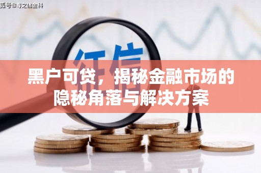 晋安黑户可贷，揭秘金融市场的隐秘角落与解决方案