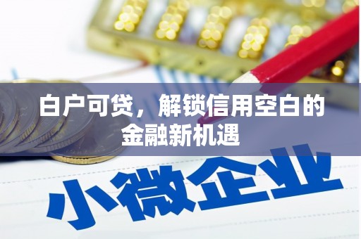 晋安白户可贷，解锁信用空白的金融新机遇