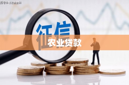 晋安农业贷款