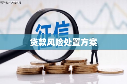 晋安贷款风险处置方案