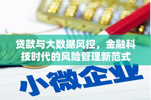晋安贷款与大数据风控，金融科技时代的风险管理新范式