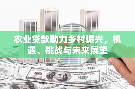 晋安农业贷款助力乡村振兴，机遇、挑战与未来展望