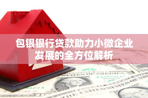 晋安包银银行贷款助力小微企业发展的全方位解析
