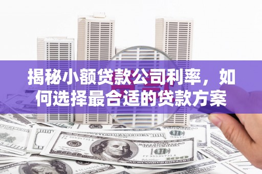 晋安揭秘小额贷款公司利率，如何选择最合适的贷款方案