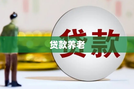 晋安贷款养老