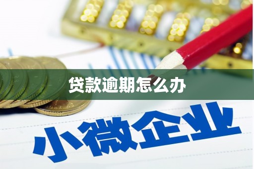 晋安贷款逾期怎么办