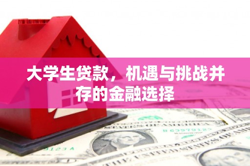 晋安大学生贷款，机遇与挑战并存的金融选择