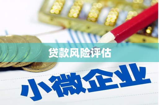晋安贷款风险评估