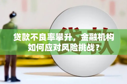 晋安贷款不良率攀升，金融机构如何应对风险挑战？