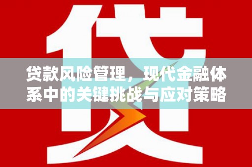 晋安贷款风险管理，现代金融体系中的关键挑战与应对策略