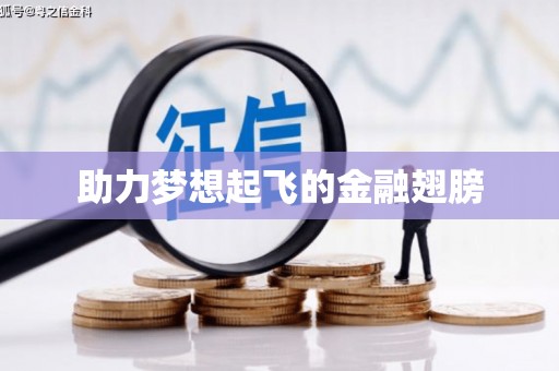 晋安助力梦想起飞的金融翅膀