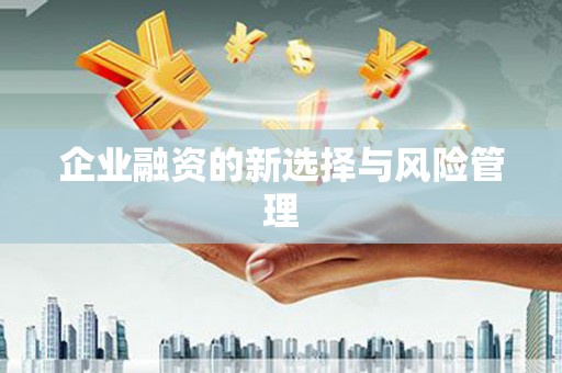 晋安企业融资的新选择与风险管理