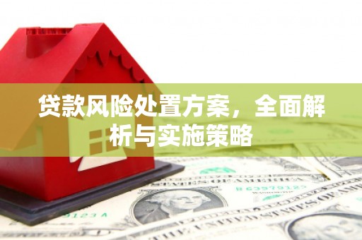 晋安贷款风险处置方案，全面解析与实施策略