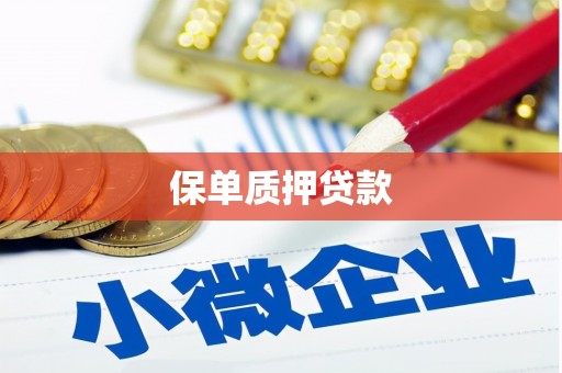 晋安保单质押贷款