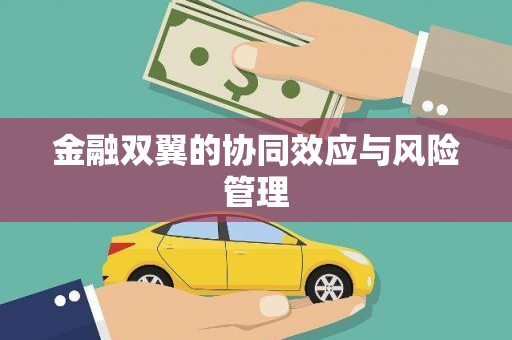 晋安金融双翼的协同效应与风险管理