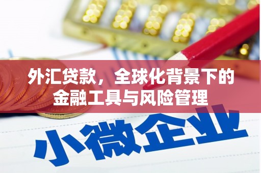 晋安外汇贷款，全球化背景下的金融工具与风险管理