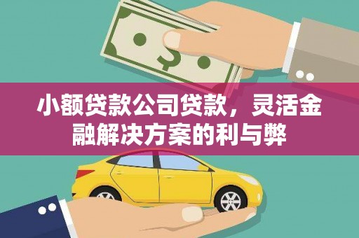 晋安小额贷款公司贷款，灵活金融解决方案的利与弊